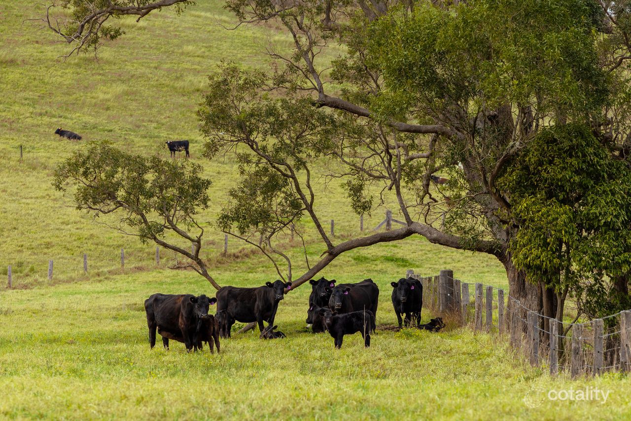 879 Thunderbolts Way, Barrington, NSW 2422
