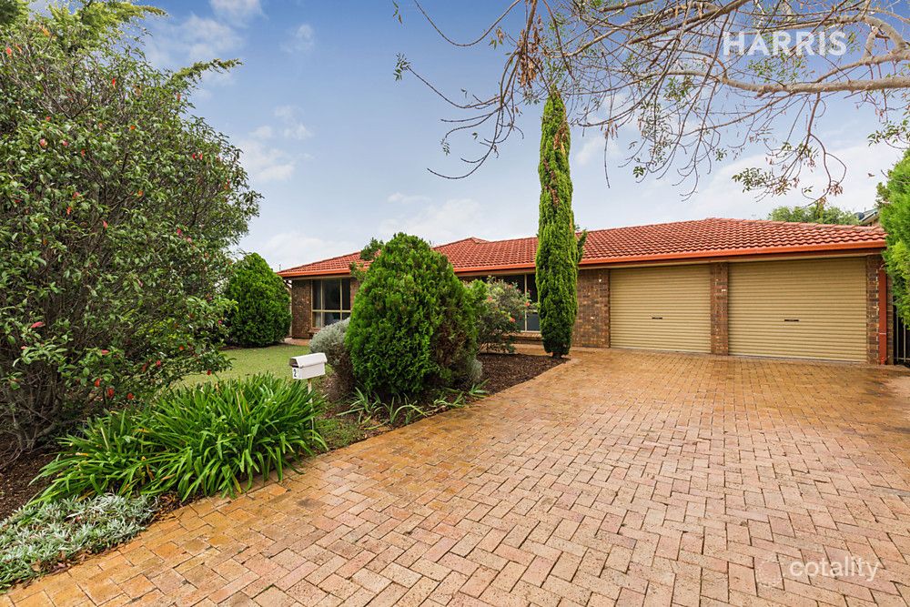 29 Olive St, Magill, SA 5072