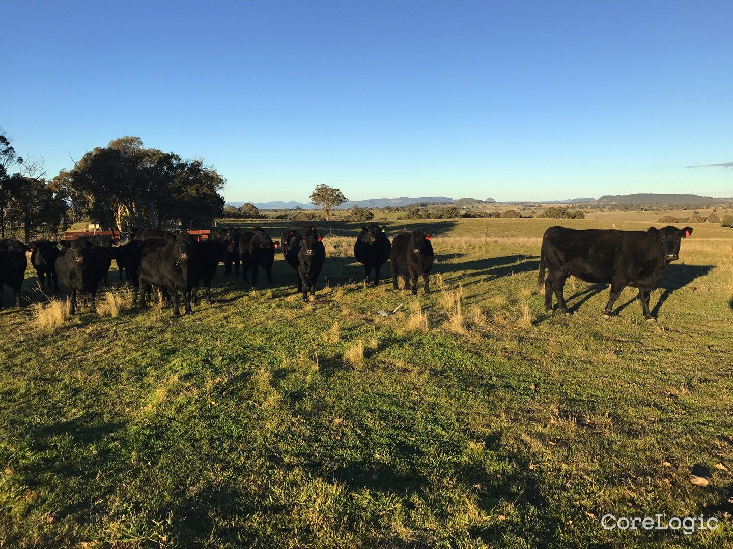 2162 Aarons Pass Rd, Aarons Pass, NSW 2850