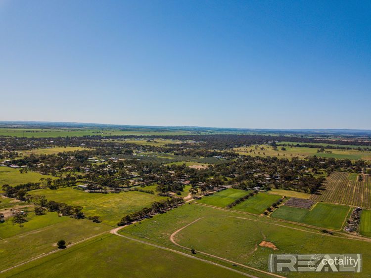 12 Gilks Rd, Lewiston, SA 5501