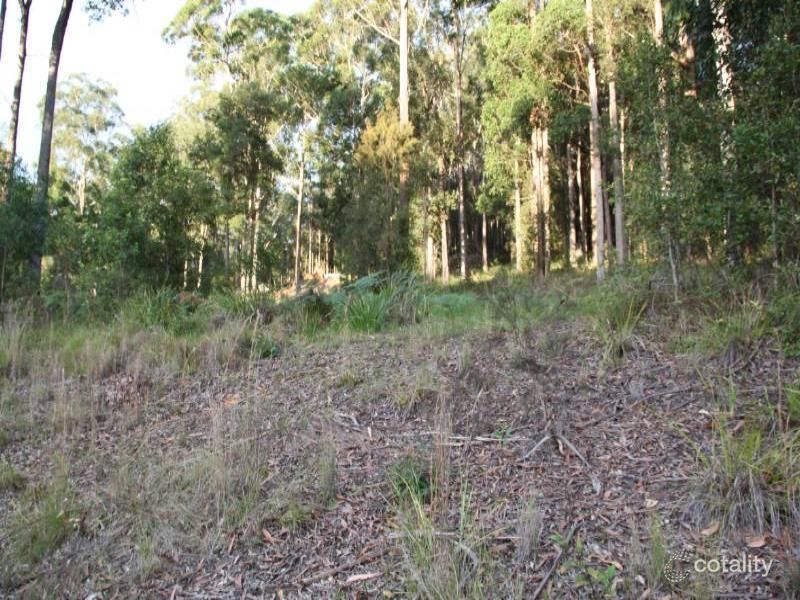 10 Ferntree Ct, Kew, NSW 2439