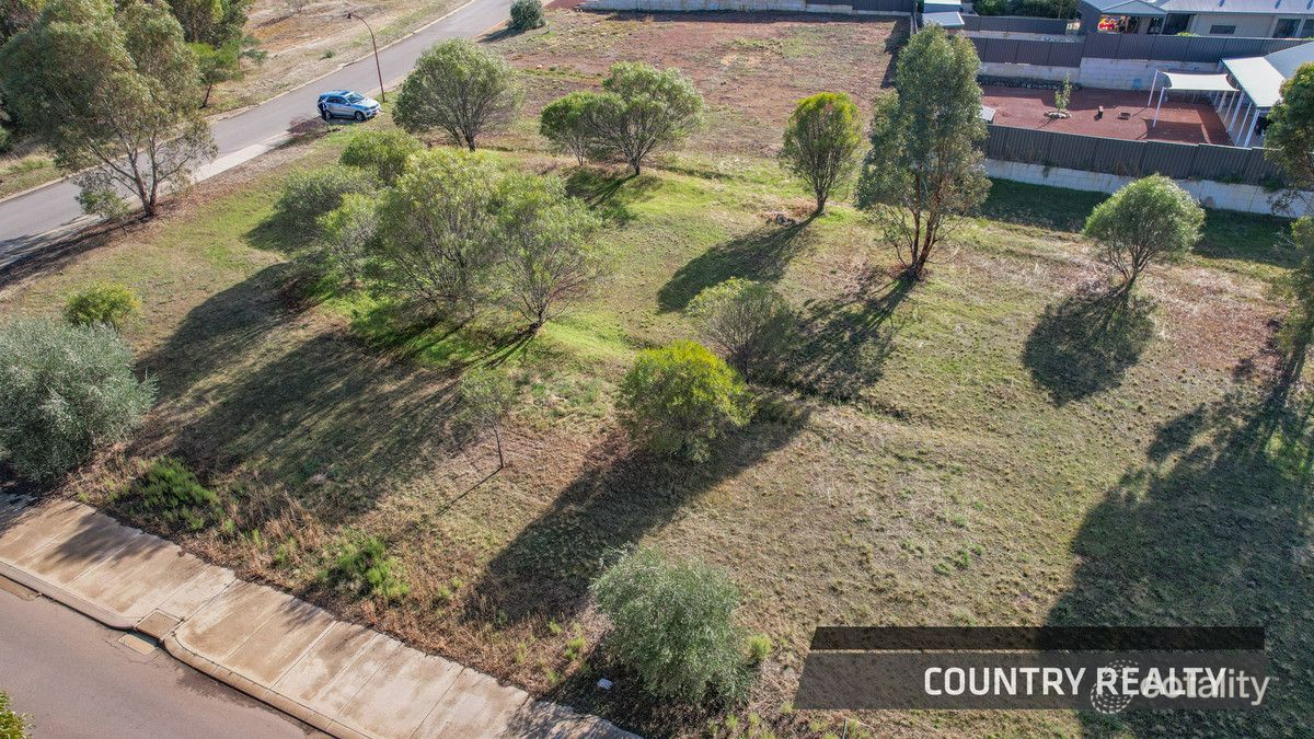 12 Drummond St, Toodyay, WA 6566