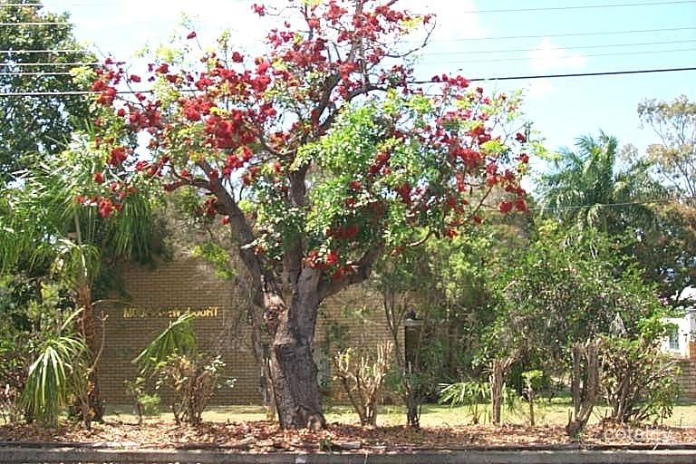 5/31 West St, The Range, QLD 4700