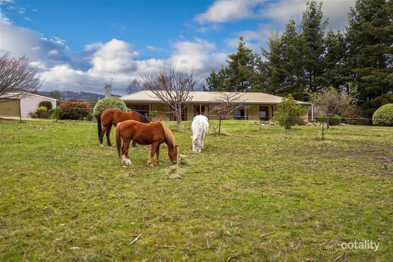 448 Mountain River Rd, Mountain River, TAS 7109