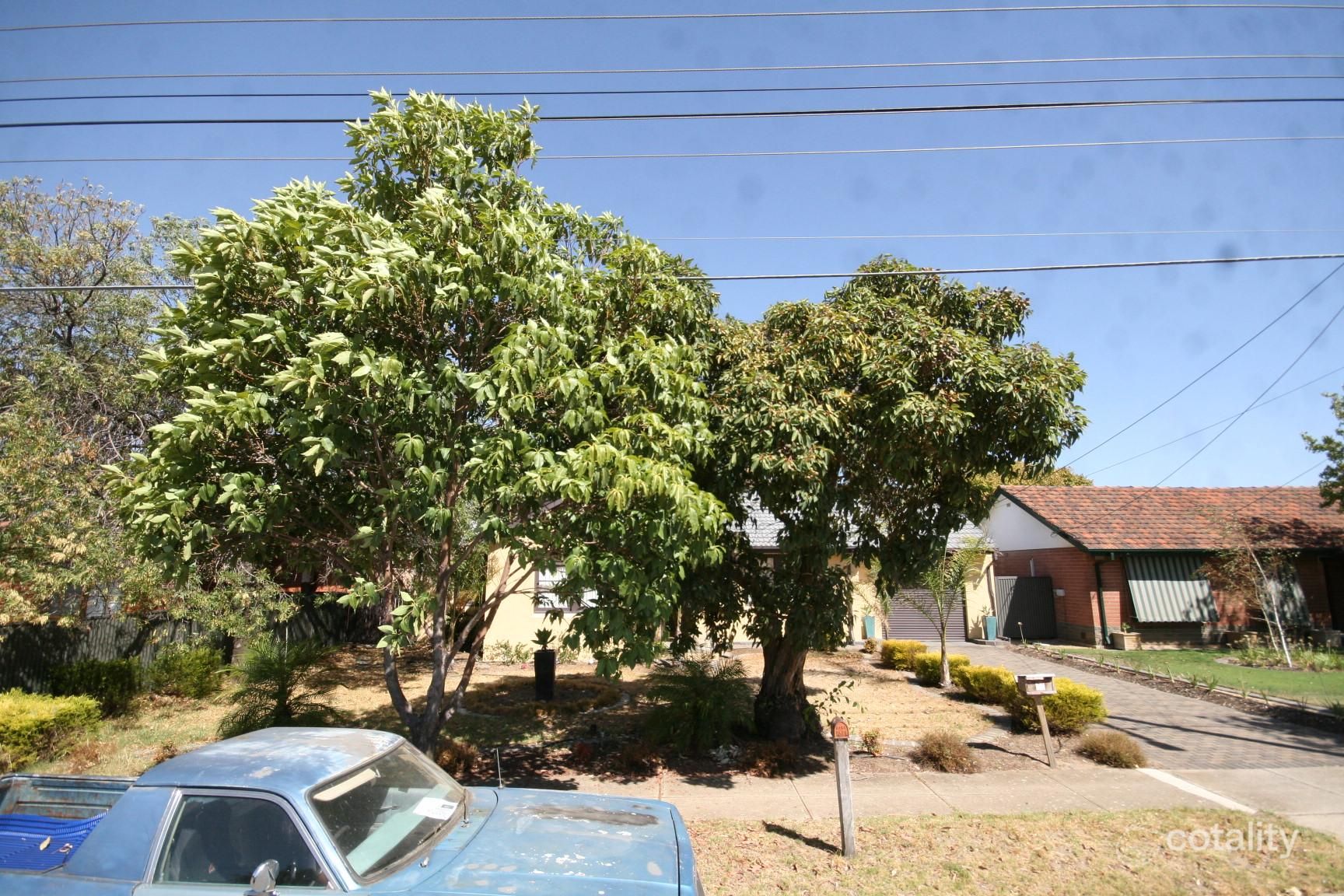 47 Saint Andrews Cres, Novar Gardens, SA 5040