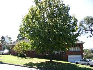 197 North Rd, Eastwood, NSW 2122