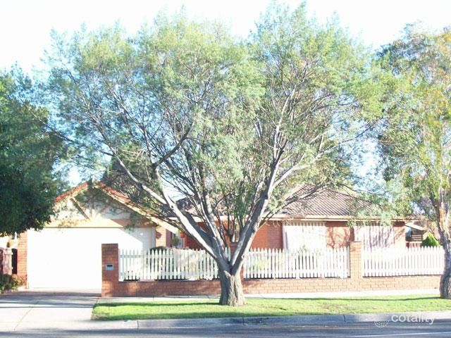 77 John Fawkner Dr, Endeavour Hills, VIC 3802