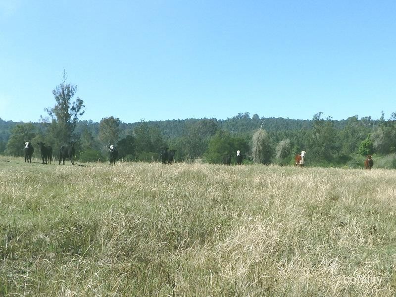 624 Tabulam Rd, Lower Bottle Creek, NSW 2469