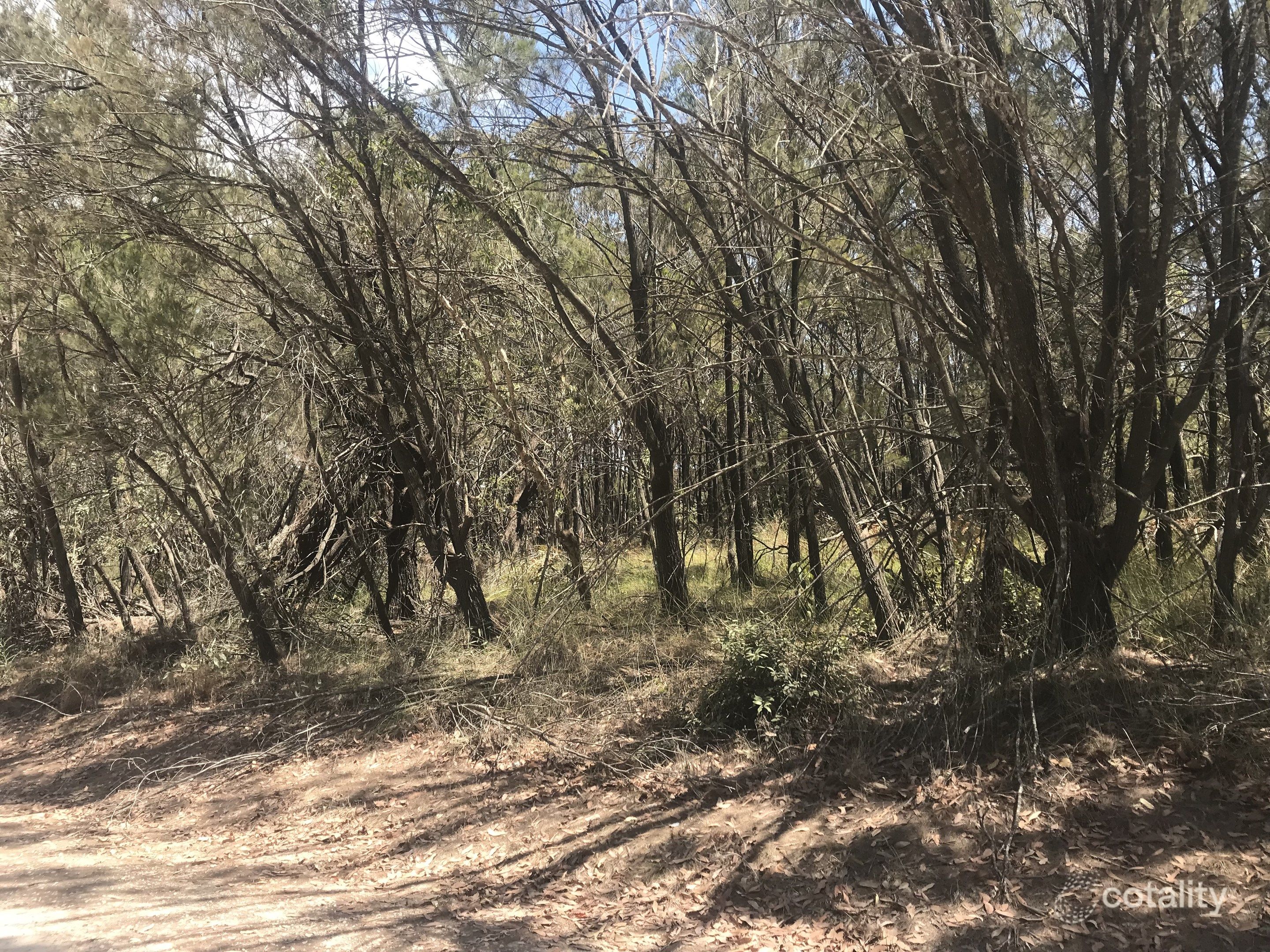 17 Cathy St, Macleay Island, QLD 4184