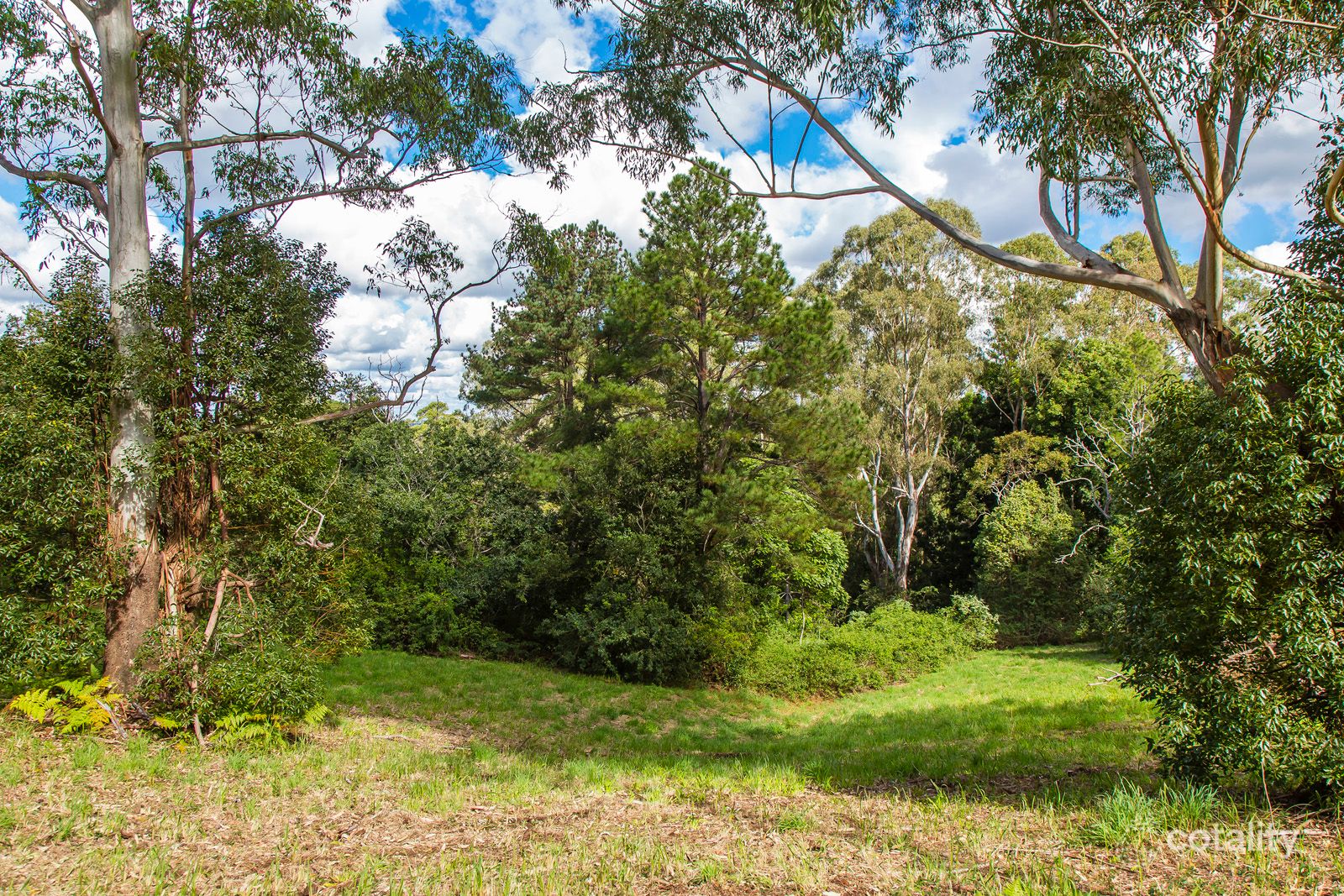 114 Flaxton Mill Rd, Flaxton, QLD 4560