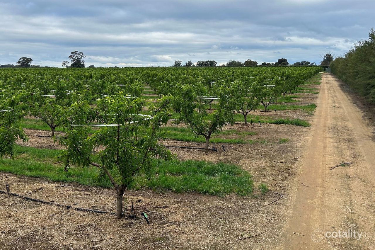 1400 Larissa Rd, Yarroweyah, VIC 3644