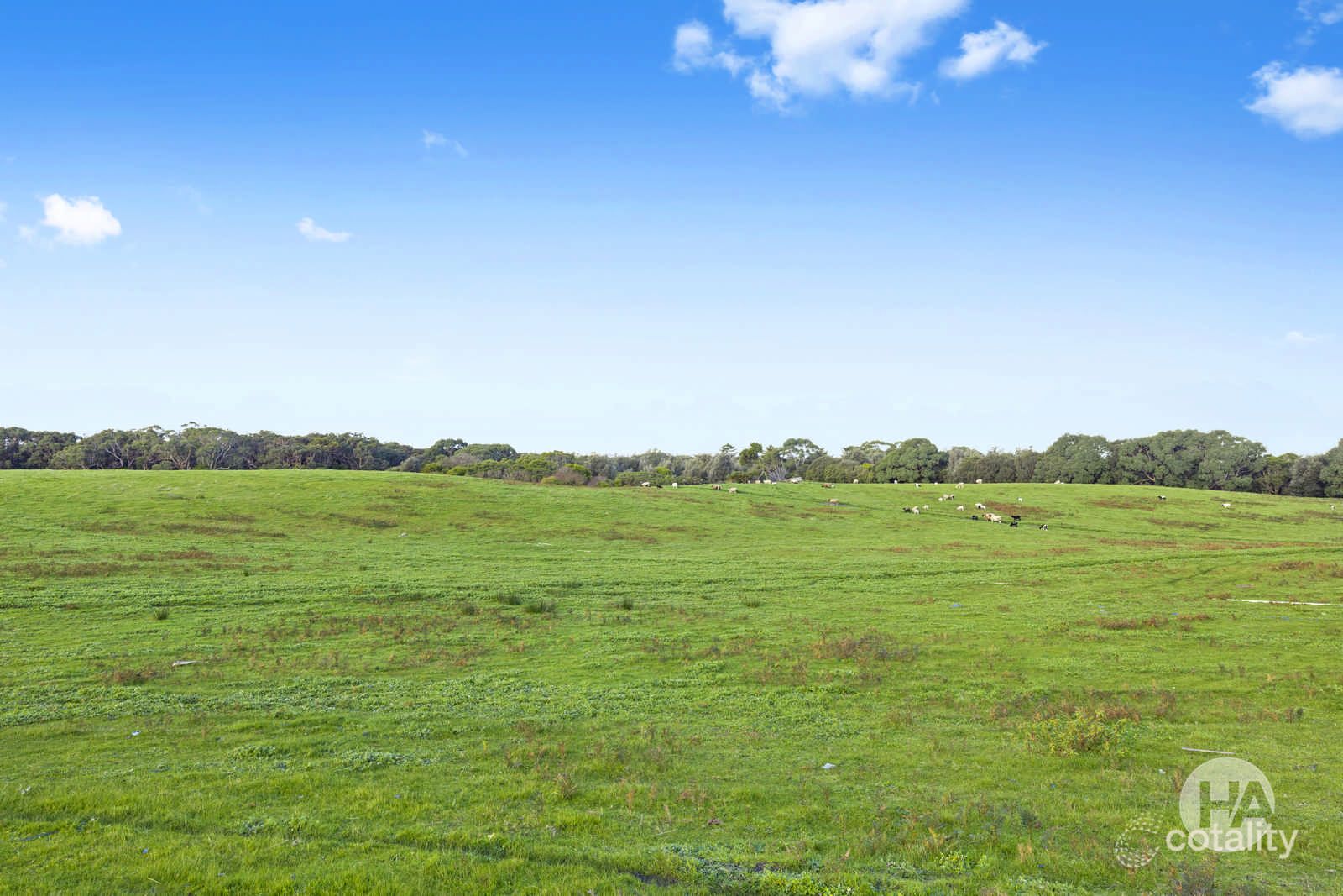 65 Long Point Rd, Cape Schanck, VIC 3939