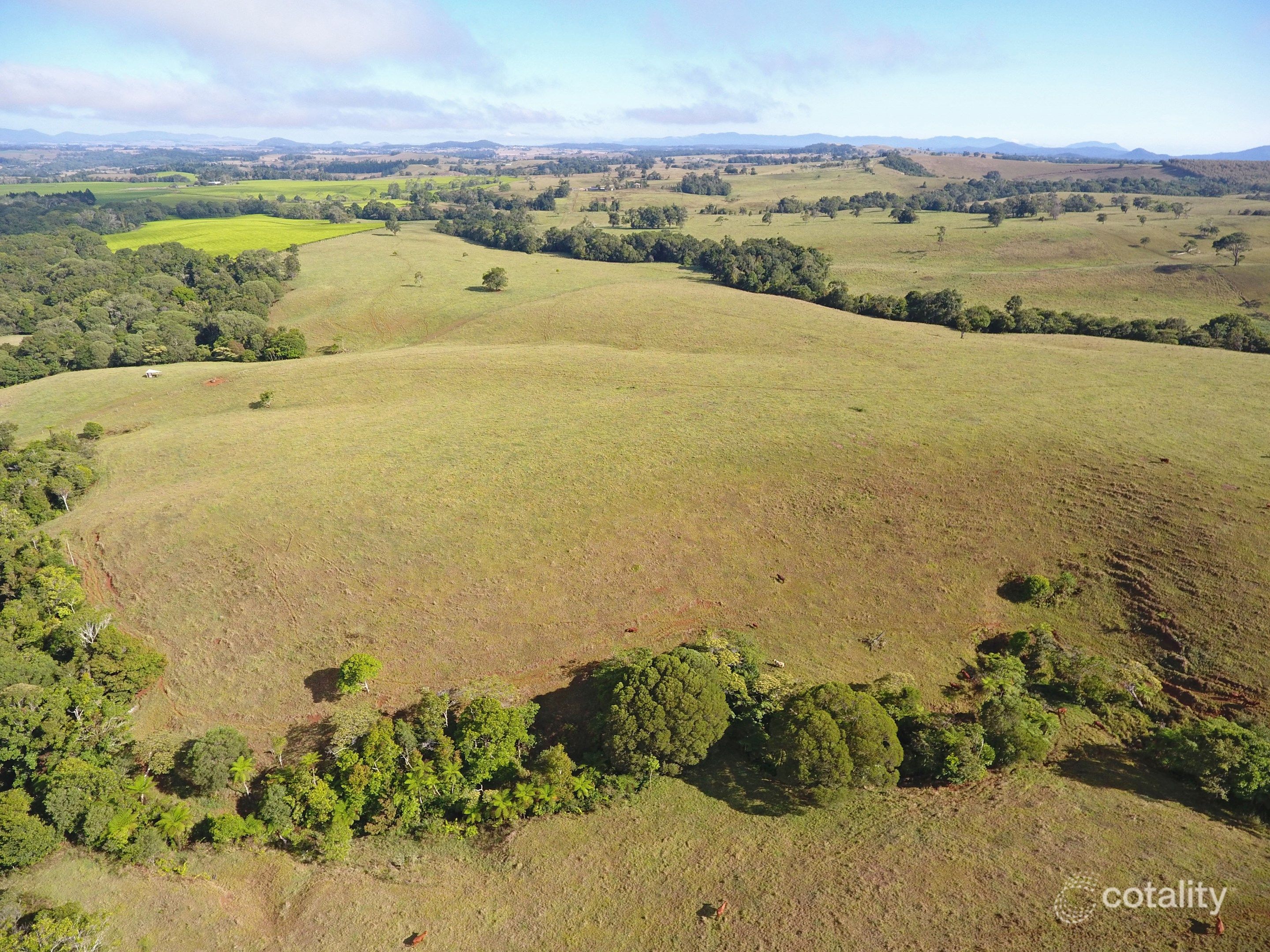 1171 Glen Allyn Rd, Glen Allyn, QLD 4885