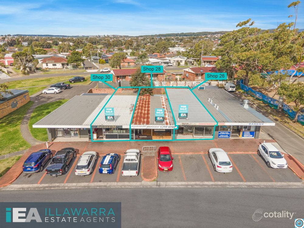 26 Queen St, Lake Illawarra, NSW 2528