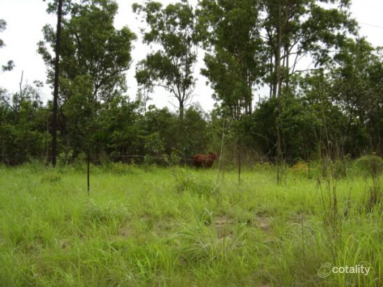 305 Bees Creek Rd, Bees Creek, NT 0822