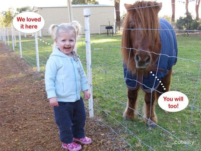 185 Philmore St, Muchea, WA 6501