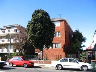 10/169 Avoca St, Randwick, NSW 2031