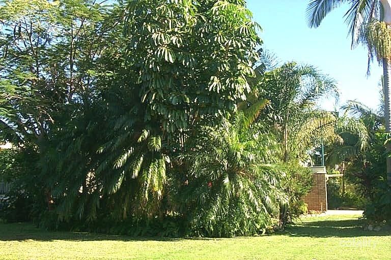 77 Menzies St, Park Avenue, QLD 4701