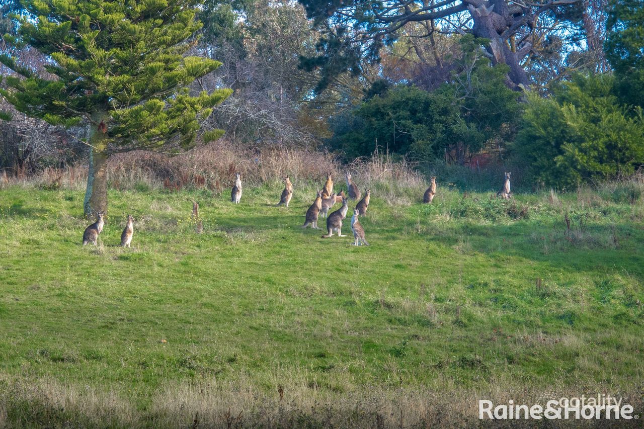 212 Panorama Dr, Gisborne, VIC 3437