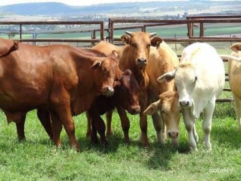 75 Love Rd, Vale View, QLD 4352