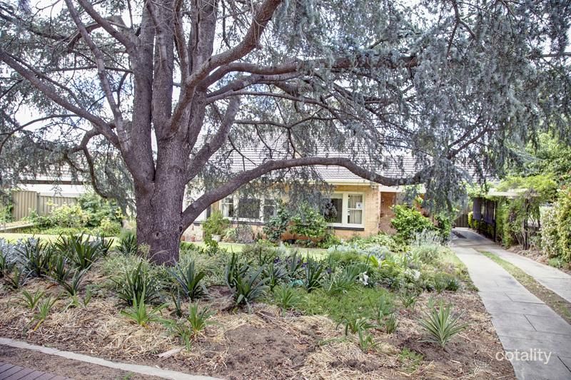 57 Hay Rd, Linden Park, SA 5065