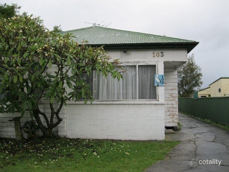 103 Bowman St, Swansea, NSW 2281