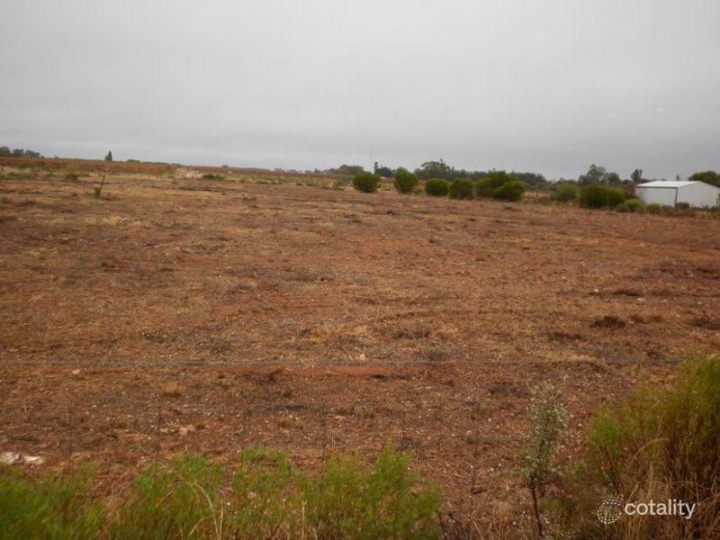 Lot 122 Pope Rd, Waikerie, SA 5330