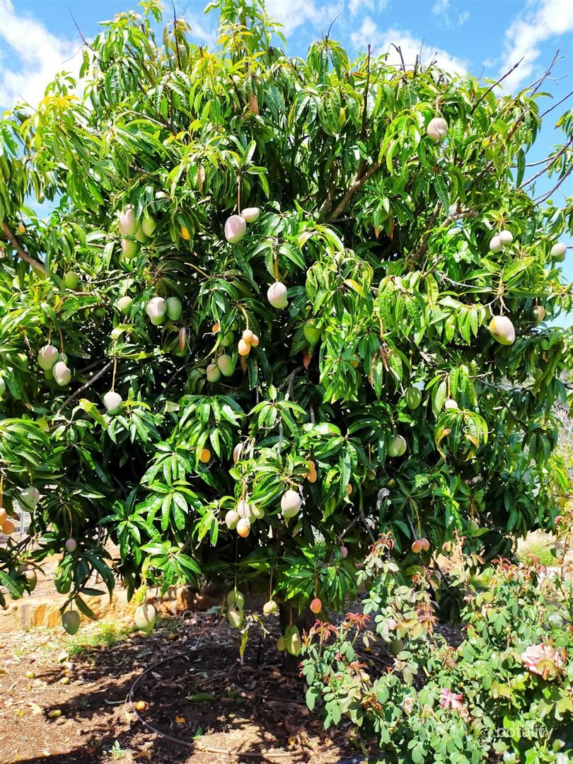 21 Lefroy St, Gingin, WA 6503