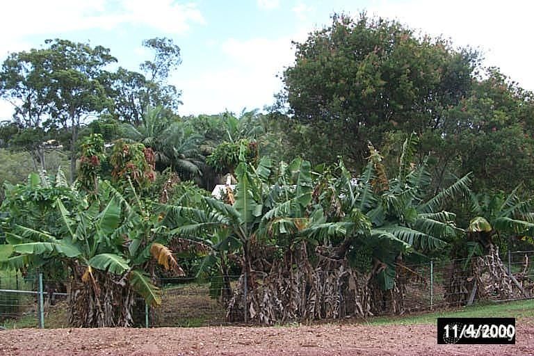 93 Perulpa Dr, Lamb Island, QLD 4184