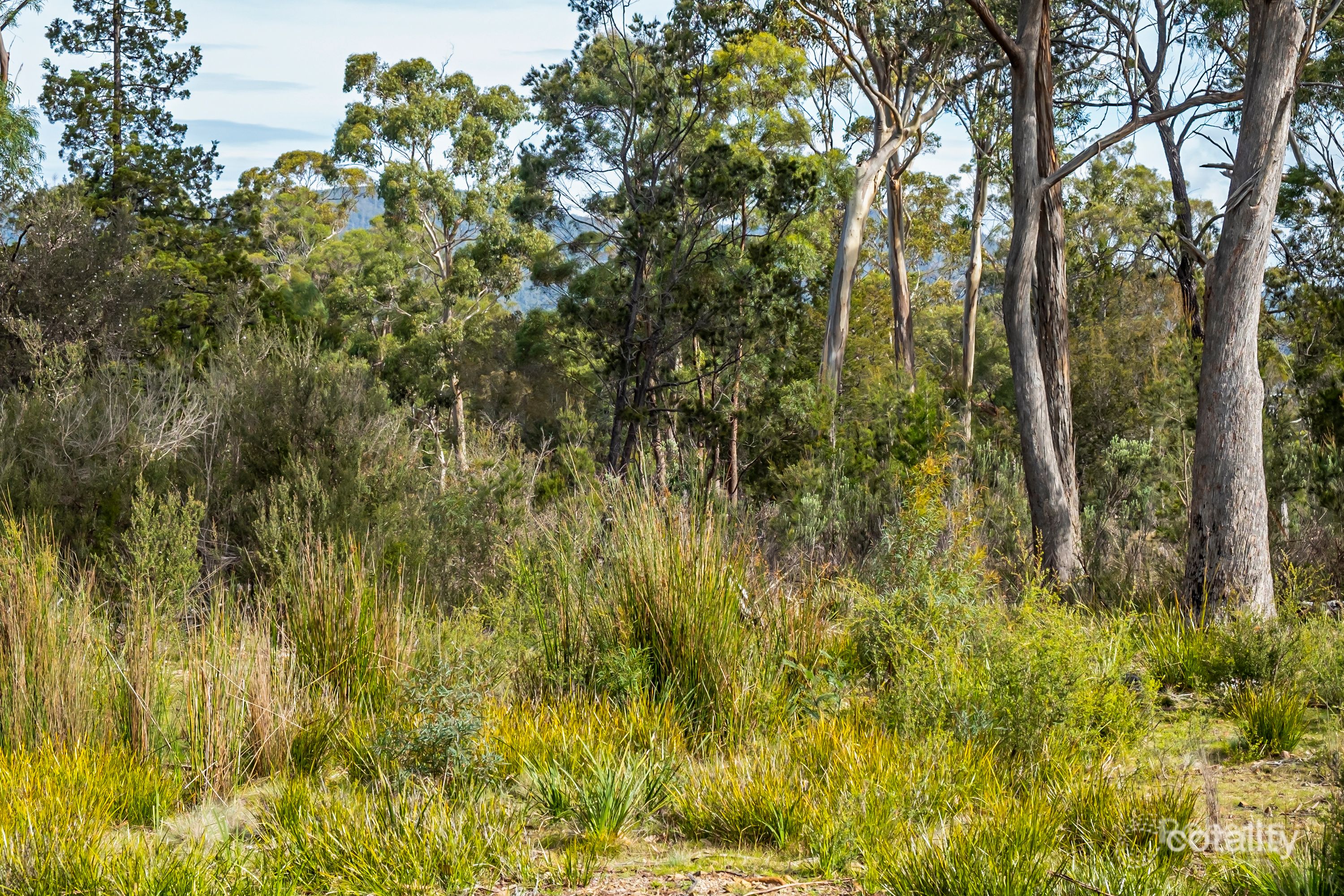 90 Suncoast Dr, Bicheno, TAS 7215