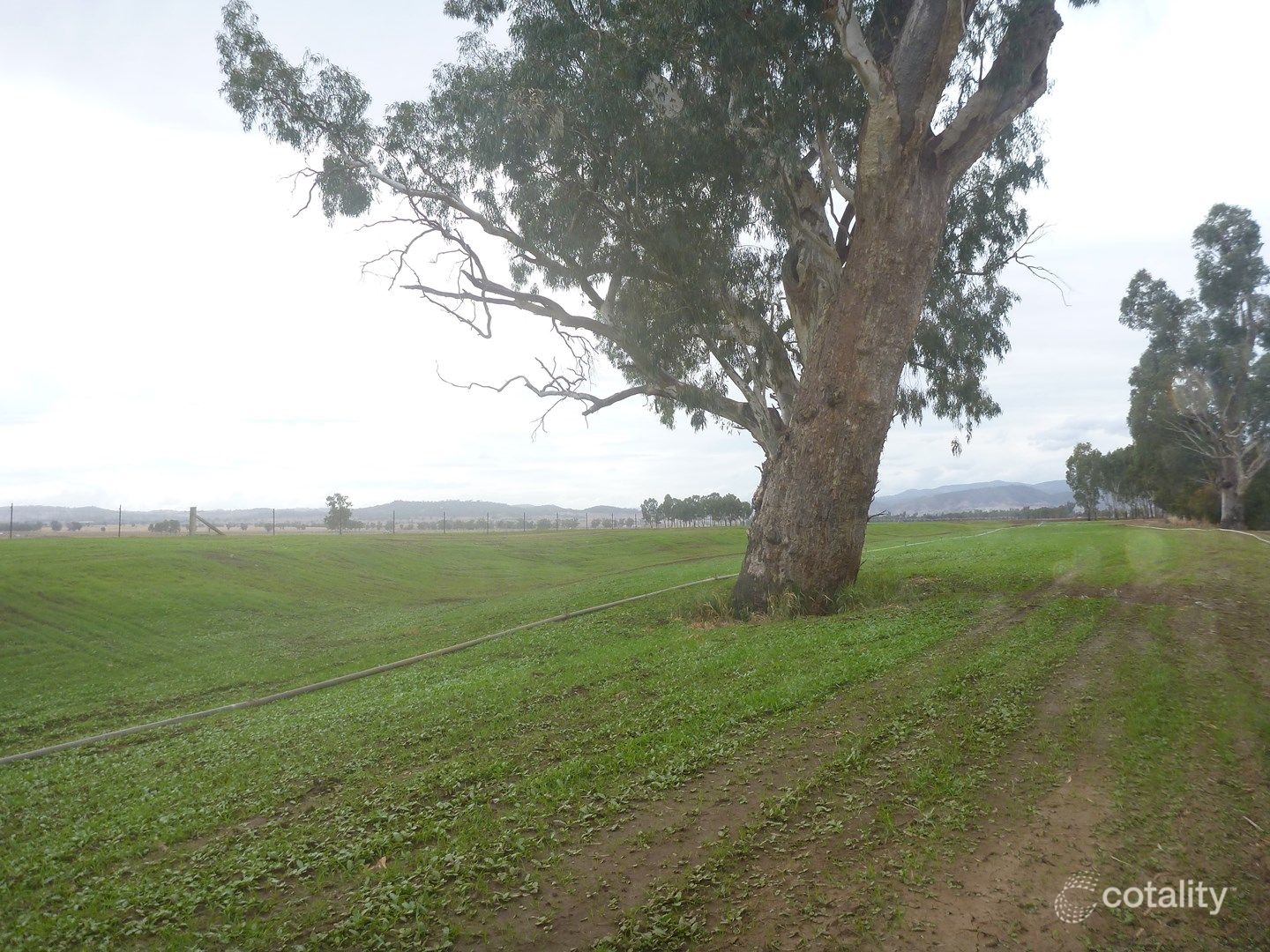 147 Balcarry Lane, Attunga, NSW 2345