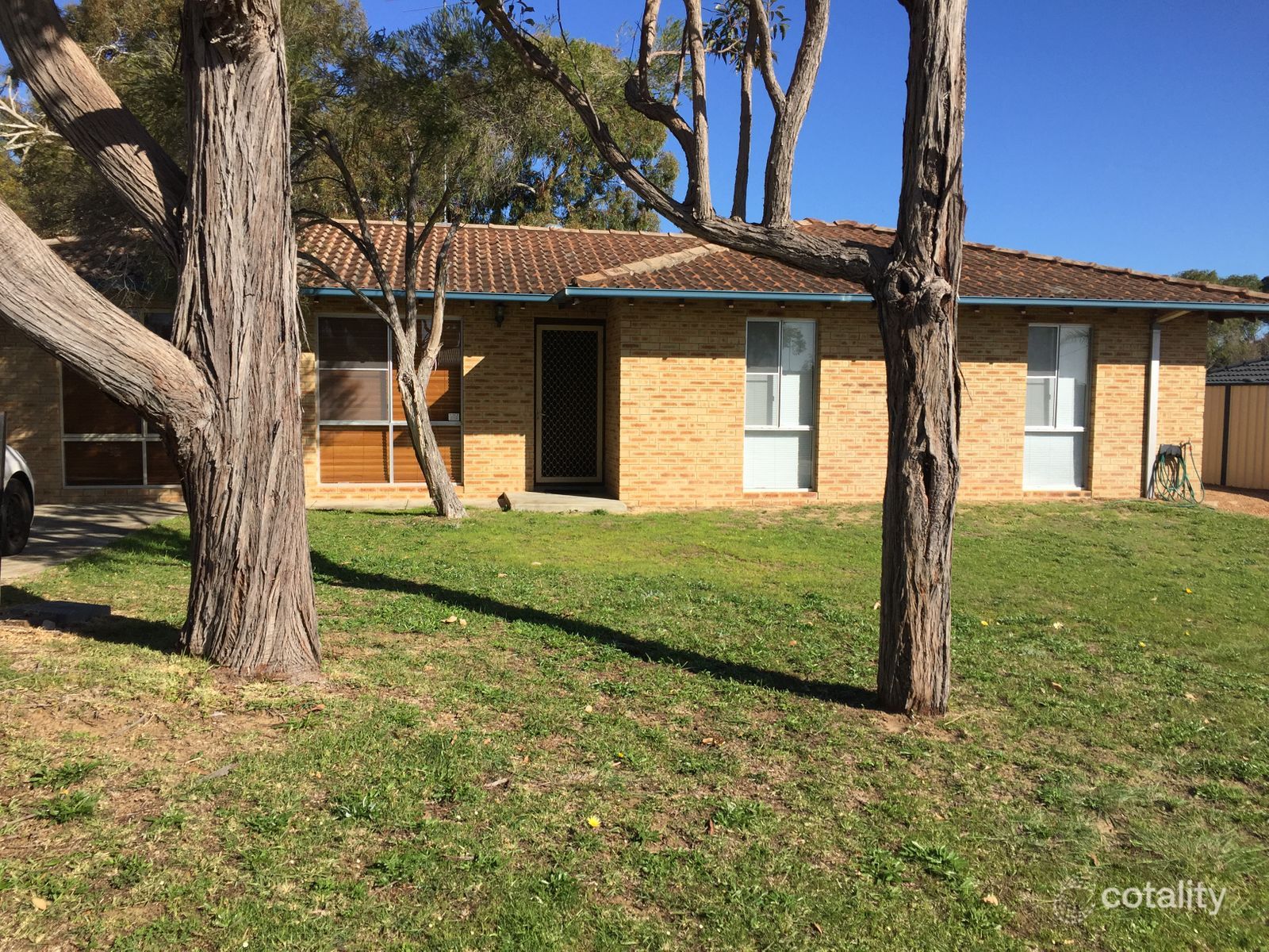 12 Wattle Cl, Bouvard, WA 6211