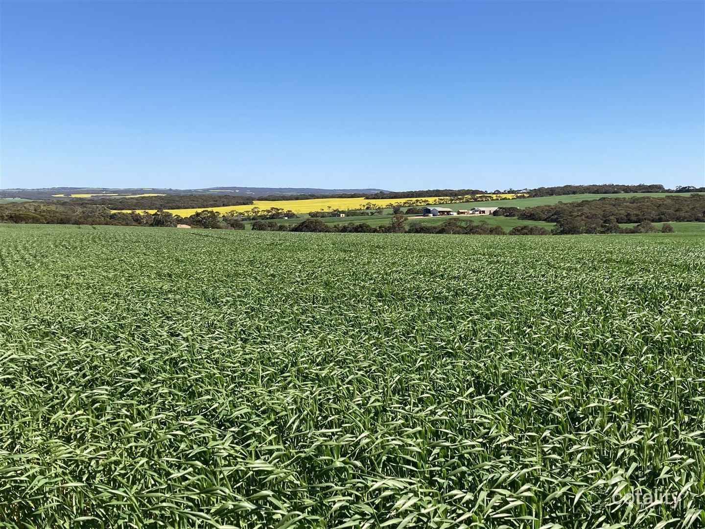 524 Grubbed Rd, Kapinnie, SA 5632