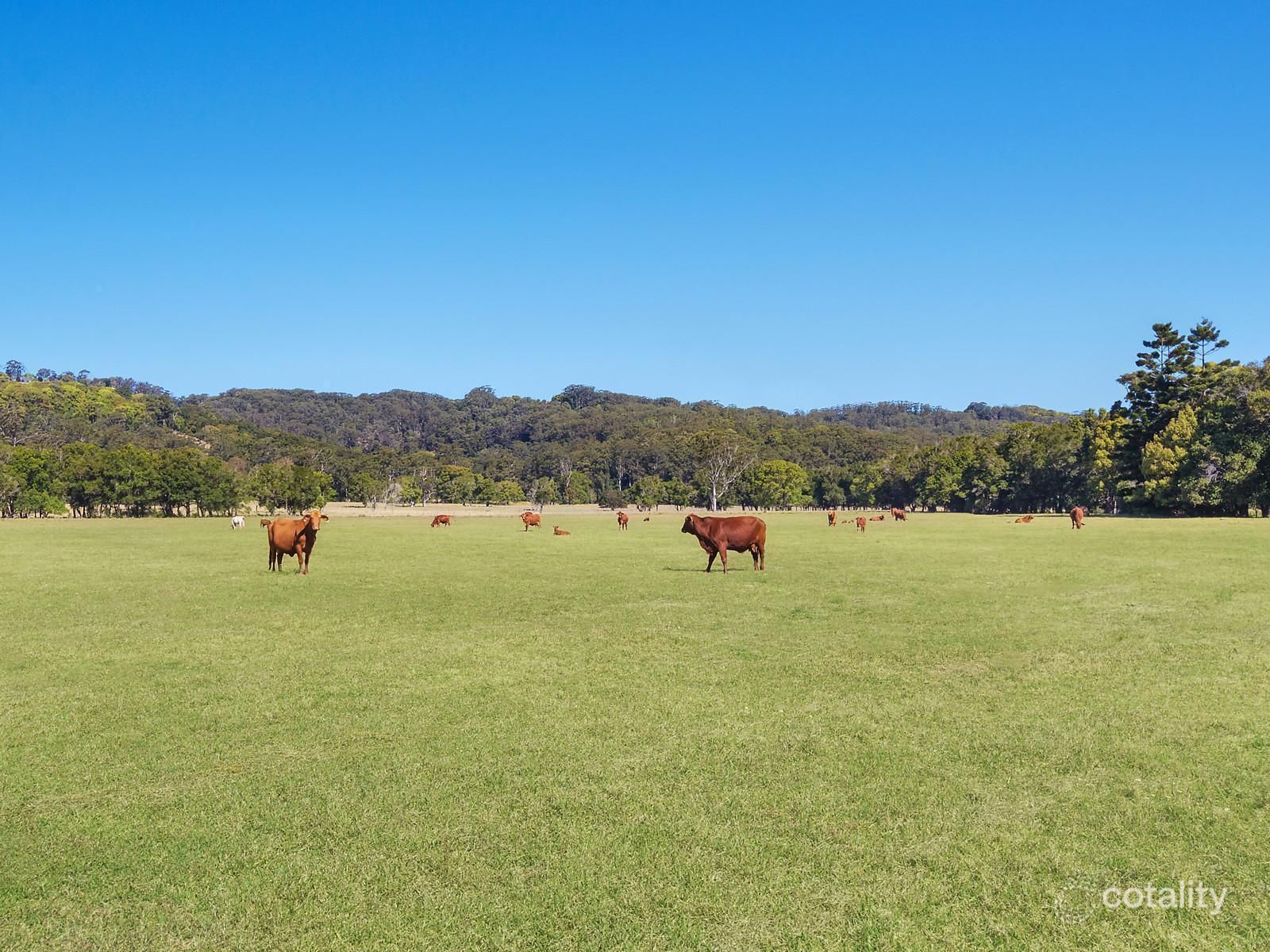 142 Bartletts Lane, Meerschaum Vale, NSW 2477