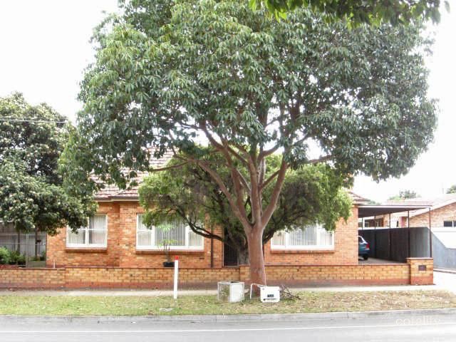 164 Marian Rd, Glynde, SA 5070