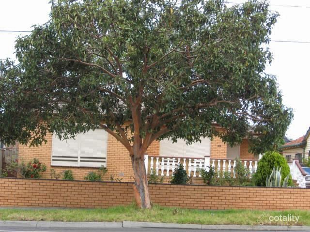 391 Gaffney St, Pascoe Vale, VIC 3044