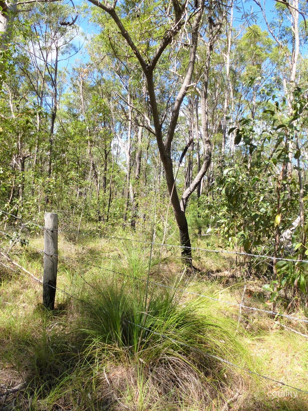 661 Mineral Rd, Rosedale, QLD 4674