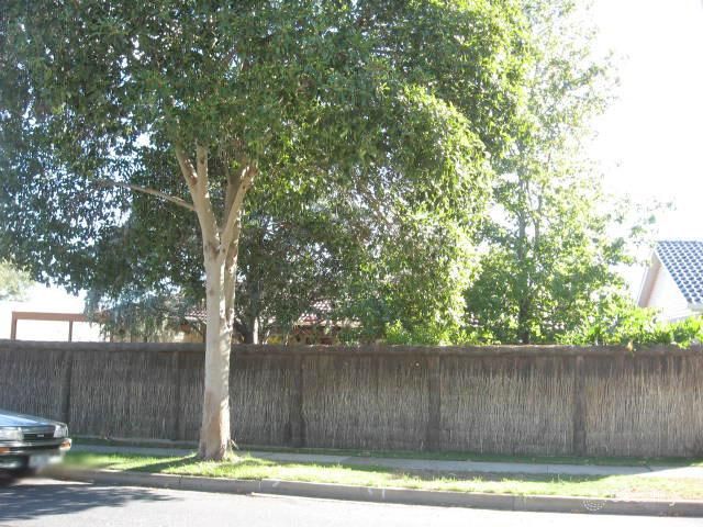 22 Rayleigh Ave, Highbury, SA 5089