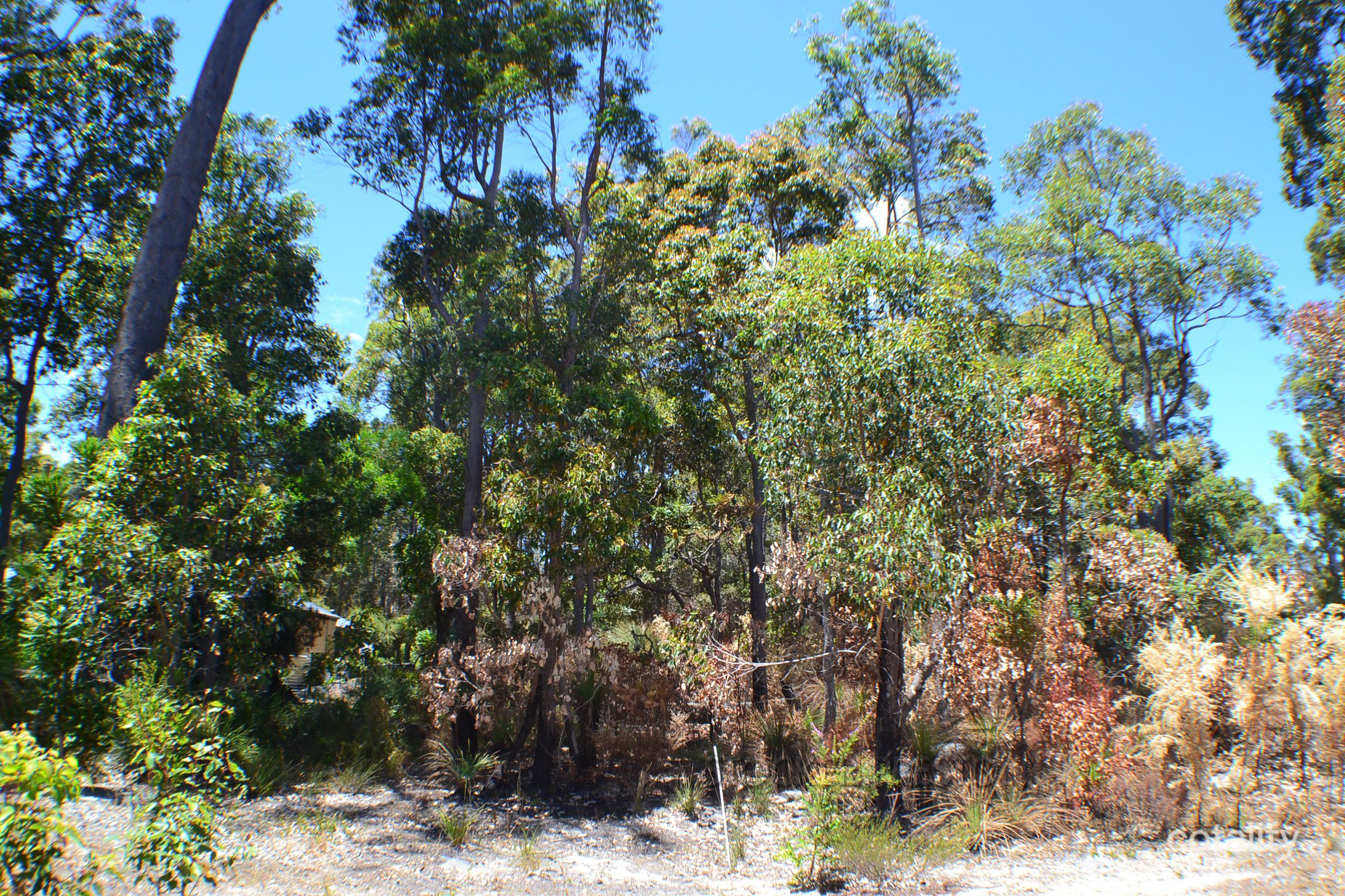 17 Tinglewood Ct, Cowaramup, WA 6284