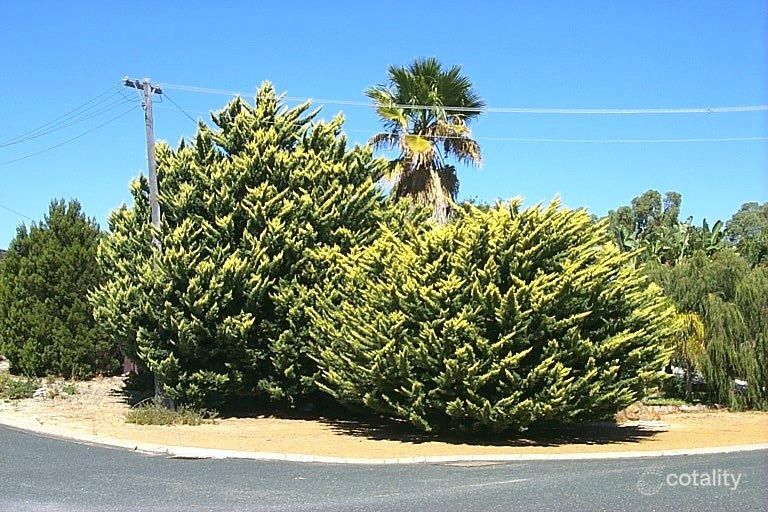 14 Fitzpatrick Way, Padbury, WA 6025