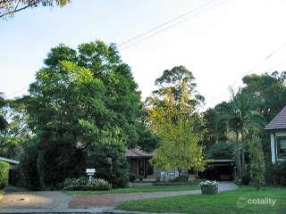 7 Pildra Pl, Frenchs Forest, NSW 2086