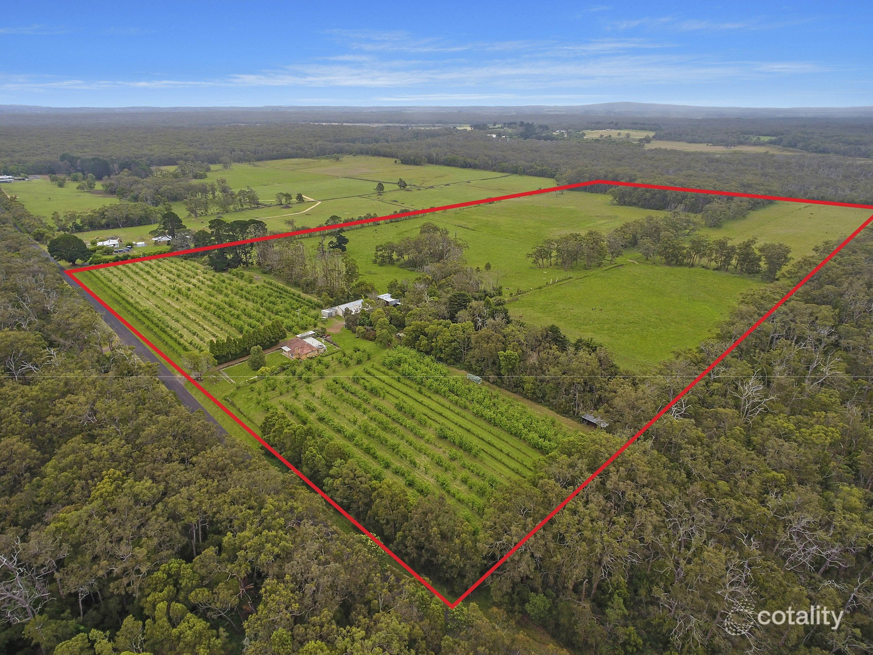 726 Surry River-Gorae Rd, Gorae, VIC 3305