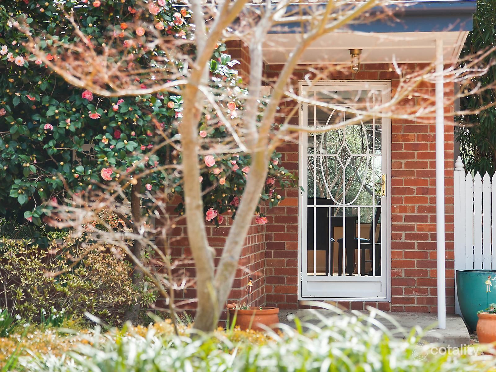 53 Hannan Cres, Ainslie, ACT 2602