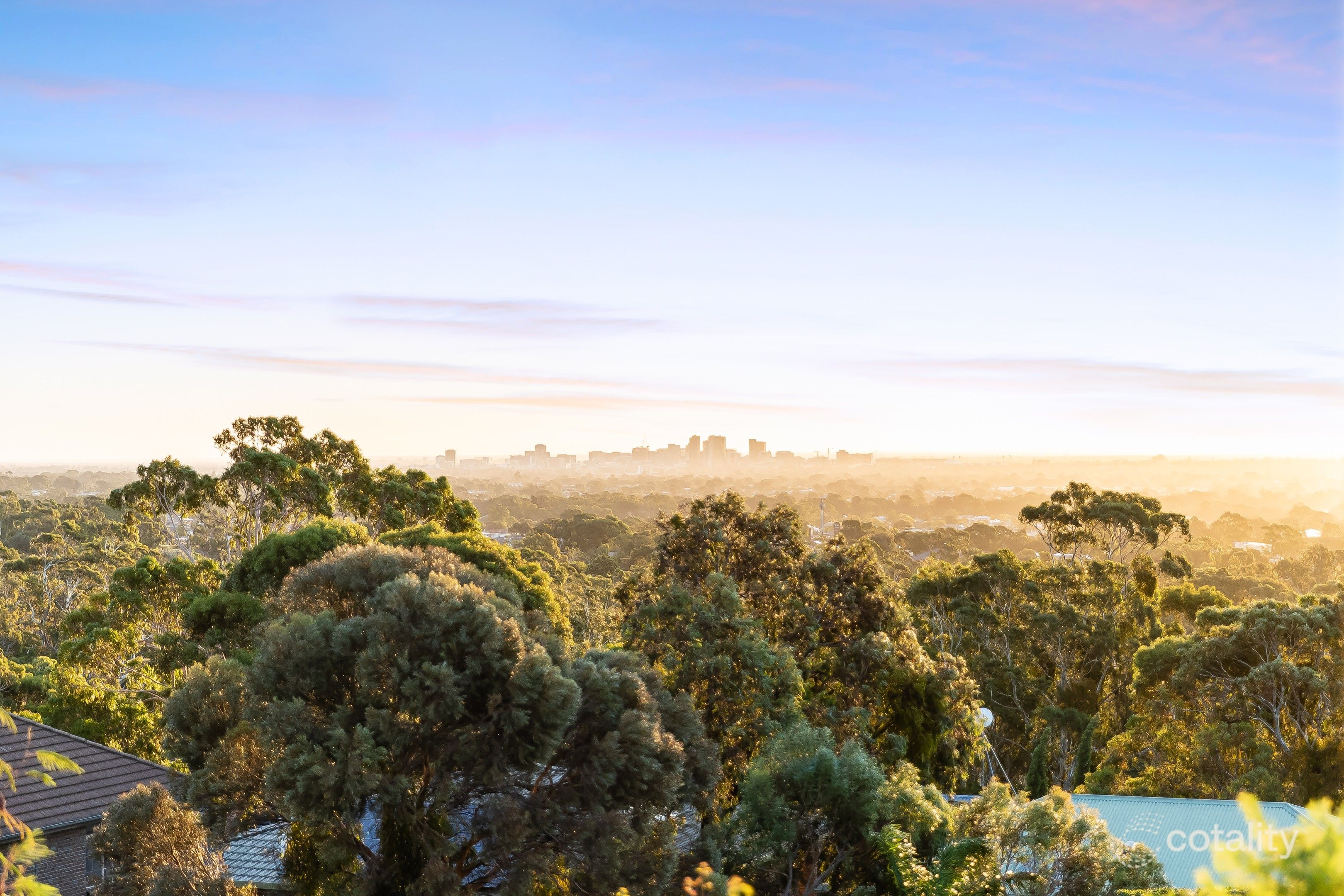 20 Grevillea Ave, Athelstone, SA 5076