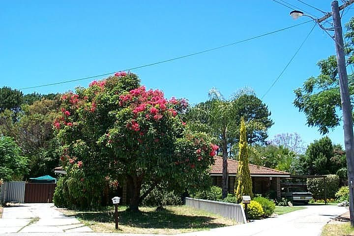 2/7 Possum Ct, High Wycombe, WA 6057