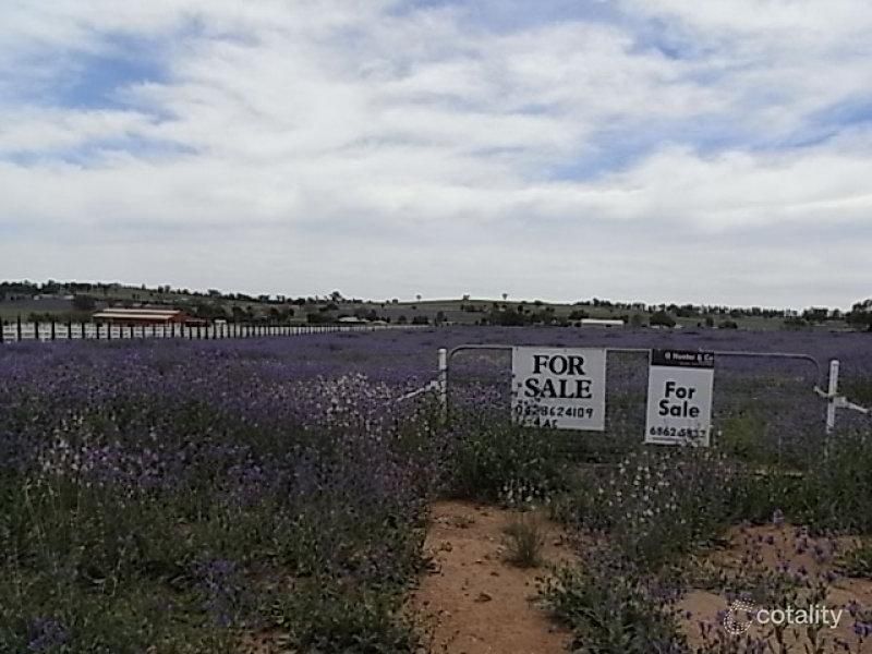 Lot 729 Endicott St, Parkes, NSW 2870