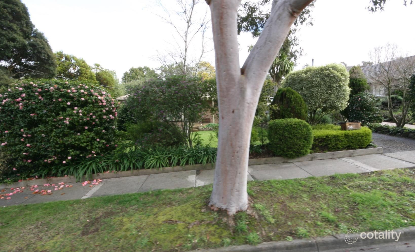 14 Deborah Ave, Boronia, VIC 3155