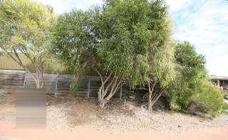 19 Evandale Cct, Happy Valley, SA 5159