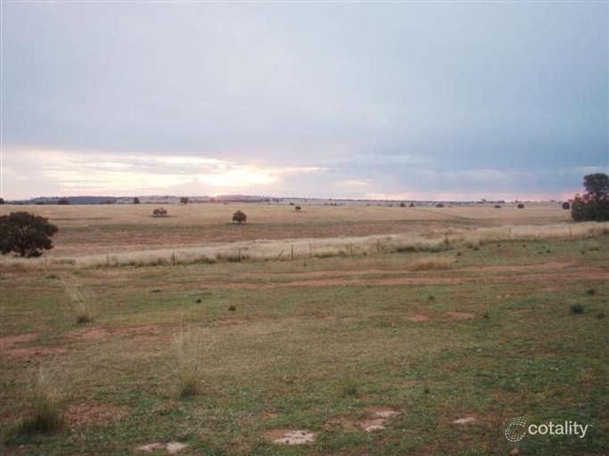 543 Comobella Rd, Geurie, NSW 2818