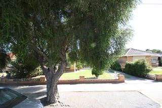 21 Stonehouse Ave, Camden Park, SA 5038